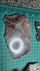 Lot Of Multiple  Stromatolite Fossils Slabs And Rough