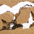 Sand Ant Farm T  anthill  Formicarium  Educational  Ants 