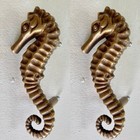 2 Large Cabinet Pull Set Door Knob Handle Seahorse Aged Patina 100  Brass 6 