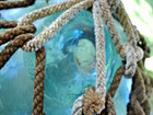 Vintage Large Japanese Hand Blown Blue Glass Fishing Float Buoy Ball W net 12 