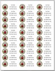150 Ladybug Stained Glass Style  Mailing Return Address Labels Personalized