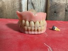 Vintage Oddity Set - False Teeth Dentures Upper   Lower   Human Molar W  Filling