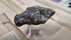 Gibeon Iron Meteorite 555 8g  Aerolite Certificate Of Authenticity 