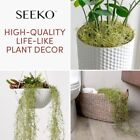 Seeko Succulents Spanish Moss  Fake Moss For Artificial  Assorted Sizes 