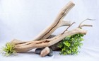 22  Manzanita Aquarium Driftwood 21  Aquascape Reptile Terrarium Home Decor
