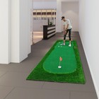 10x5 Ft Golf Putting Green Training Mat Turf 3 Holes 3 Flags Cups Indoor Outdoor