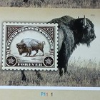 Us 2026 Scott   6098a 4ever American Bison Imperf ndc Pane Of 16 Stamps Vf Mnh