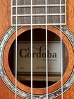 Cordoba 15cm-e Concert Ukulele  Mahogany Body top  Natural Finish Brown
