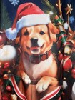Graphic Dog Christmas Hoodie- Size Large New Without Tags