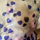 Avon Angel Teddy Bear Plush Stuffed Animal Pink Heart Dress Wings 1998 12   New