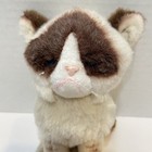 Gund Grumpy Cat Plush Bean Bag Stuffed Animal Mini 6 In Tan Brown