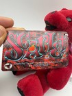 Grateful Dead Bean Bear Scarlet Plush New W  Tag