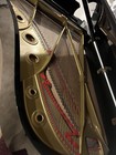 Yamaha C7 Professional Series Grand Piano
