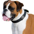 Personalized Stainless Steel Open Slide-on Pet Dog Name Tags Engraved Custom Id