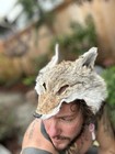 Coyote Headdress Native American Made