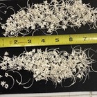 Bull Snake Rib And Vertebrae Bones Cleaned And Whitened