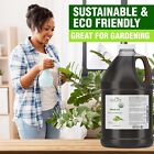 Neem Oil 1 Gallon  Premium Organic - Virgin  Cold Pressed  Unrefined 100  Pure