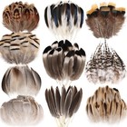 300pcs Natural Feathers - 10 Styles For Diy Crafts  Wedding  Home Decor  Party