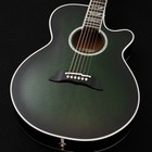 Takamine   Fpt181ac Sgs 100 Series Acoustic-electric Guitar