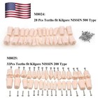 Us Kilgore Nissin 200 500 Type Dental Typodont Model Removable Teeth   Screws