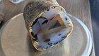 Montana Agate Polished Specimen     1 Lb 7 Oz     Natural Banded Agate Fossil     Free
