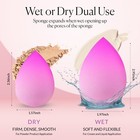 6 Piece Makeup Beauty Collection Soft Blender Sponge Set  Multi-shapes  Gradient