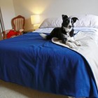 Waterproof Warm Soft Fleece Pet Blanket Large Cat Dog Kennel Bed Mat Pad Cushion