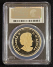 2014 Canada  20 Bison - The Fight 1 Oz Pure Silver Proof Pcgs Pr70dcam Gold Tone