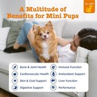 New Zesty Paws Dog Multivitamin Hip Joint Skin Coat Omega 3 Chicken Bites 90ct
