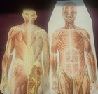 1930s Male Female Anatomical Model Medical Reference Paper Fold Out Flip Up 12  