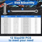 Lrvo Juy 250 Pcs Cotter Pin Assortment Kit 12 Sizes 304 Stainless Steel Hardwar 
