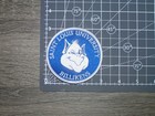 Saint Louis University Billikens Slu Vintage Embroidered Iron On Patch 3  X 3 
