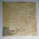 Library Of Philomathaean Society Pennsylvania College Bookplate - Philosophy sci