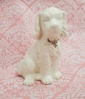 Vintage Cavalier King Charles Spaniel Figurine White With Gold Accents