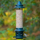 Brome Squirrel Buster Plus Squirrel Proof Bird Feeder W  Cardinal Ring 1024