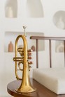 Flugel Horn Brass Bb Flat 4 Valve With Hard Case Mouthpiece Flugel Horn