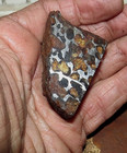 106 Gm Sericho Pallasite Meteorite Tripple Cut  f Kenya Stand Olivine  23  Stand