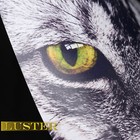 A-sub Premium Photo Paper 13x19 Double Sided Luster For Inkjet Epson Canon 74lb