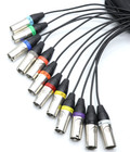 Heavy Duty 12 Channel 10ft Xlr Audio Snake