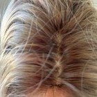 Monofilament Soft  Wavy Shoulder-length Wig In A Natural Highlighted Blonde