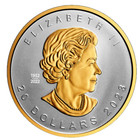          Canada Ultra-high Relief  20 Maple Leaf Coin  Queen Memory Mark  Sml 2023