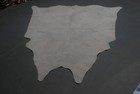 100  New Cowhide Rugs Area Cow Skin Leather  53  X 63   Cow Hide Sa-5511