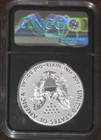 2019 W Reverse Proof Silver Eagle Ngc Pf70 Canada Set Rcm Nations Pride Mercanti