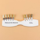 Dental Ips Natural Die Material Shade Guide Vivadent Nd1-9 Abutment Porcelain