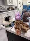 Ganz Webkinz Plush Collection     Rare  Retired   Collectible All Attached Codes