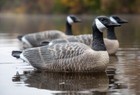 6 Pack New Goose Floater Decoys