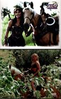 22 Different 8x10 Photos Xena Tv Show   15 Duplicates