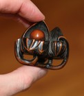 Antique Japanese Netsuke Of A Ripe Fruit Branch  19th Century  Edo Period  Fine