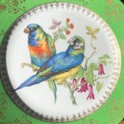 Vintage Parrot Plate 1960s Green And Gold With 2 Colorful Parrots 9 3 4  Wide
