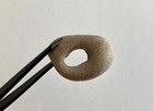 Natural Holey Beach Rock Hag Stone Fairy Wish Mystic Adder Past future  l Usa       